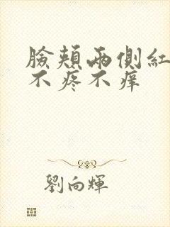 脸颊两侧红疙瘩不疼不痒