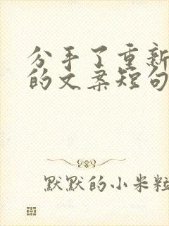 分手了重新开始的文案短句