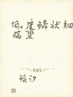 低度鳞状细胞内病变