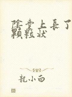 阴囊上长了白色颗粒状