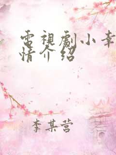 电视剧小幸福剧情介绍