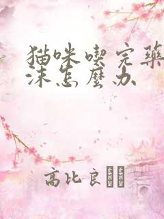 猫咪吃完药吐白沫怎么办