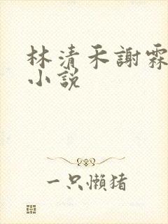 林清禾谢霖川的小说