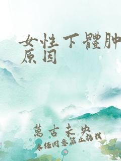 女性下体肿什么原因