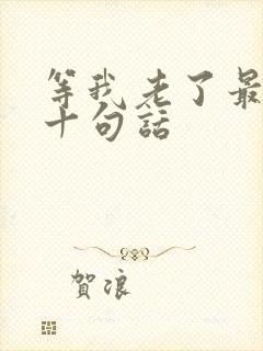 等我老了最经典十句话