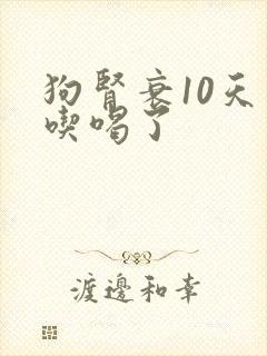 狗肾衰10天不吃喝了