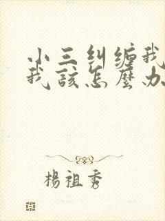 小三纠缠我老公我该怎么办