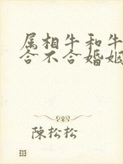 属相牛和牛属相合不合婚姻