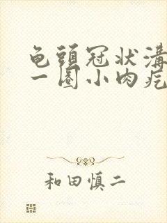 龟头冠状沟起的一圈小肉疙瘩图片