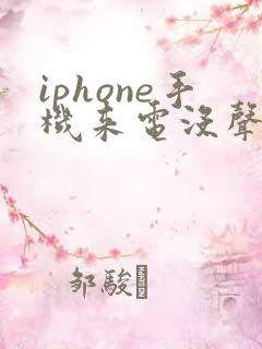 iphone手机来电没声音了