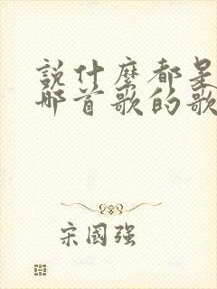 说什么都是错是哪首歌的歌词