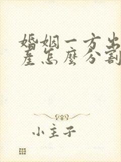 婚姻一方出轨财产怎么分割