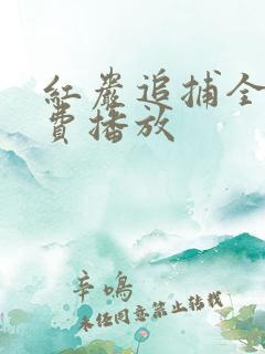 红岩追捕全集免费播放