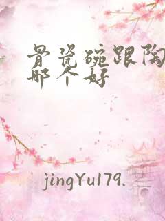 骨瓷碗跟陶瓷碗哪个好