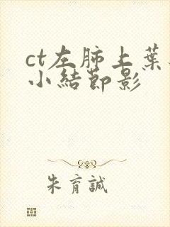 ct左肺上叶见小结节影