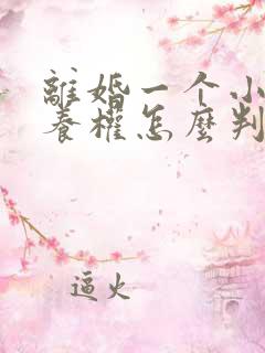 离婚一个小孩抚养权怎么判