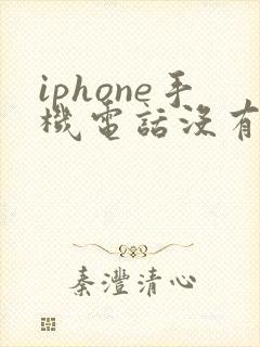 iphone手机电话没有声音