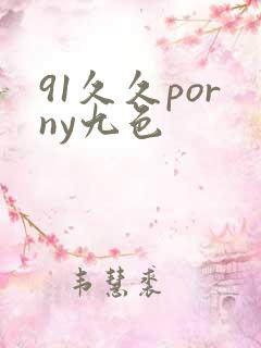 91久久porny九色