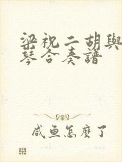 梁祝二胡与大提琴合奏谱