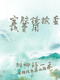 宫腔镜检查多少钱费用