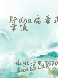 肝dna病毒正常值