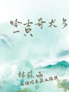 哈士奇犬多少钱一只