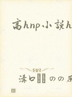 高hnp小说h