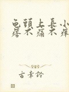 龟头上长小红疙瘩不痛不痒是怎么回事