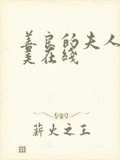 善良的夫人夫世美在线