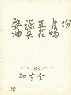 婺源五月份还有油菜花吗