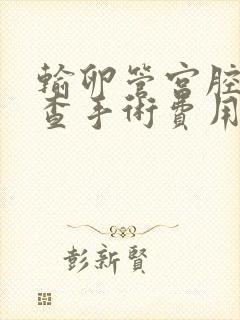 输卵管宫腔镜检查手术费用