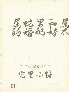 属蛇男和属龙女的婚配好不好