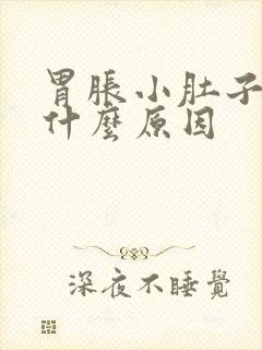 胃胀小肚子胀是什么原因