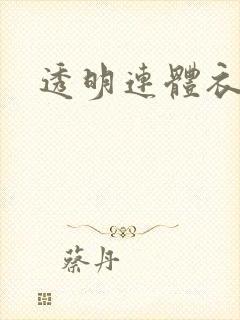 透明连体衣蕾丝