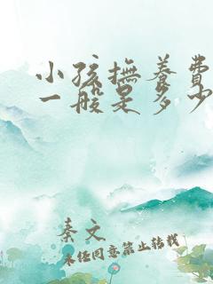 小孩抚养费标准一般是多少钱一个月