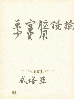 单宫腔镜检查多少费用