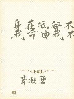 身在低谷不自弃,我命由我不由天的意思