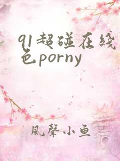 91超碰在线九色porny