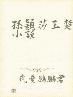 孙颖莎王楚钦的小说