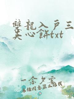 双龙入户三人行夹心饼txt