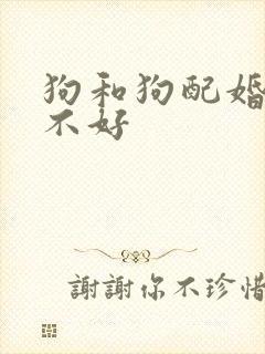 狗和狗配婚姻好不好
