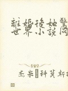 离婚后她惊艳了世界小说网