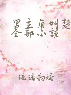 男主角叫楚阳的全部小说