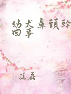 幼犬鼻头干怎么回事