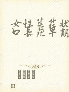 女性菜花状阴道口长疣早期症状