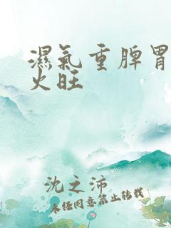 湿气重脾胃虚肝火旺