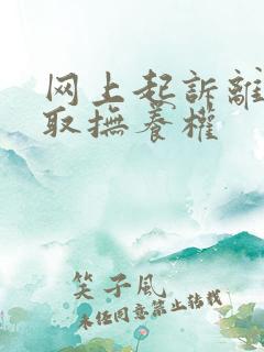 网上起诉离婚争取抚养权