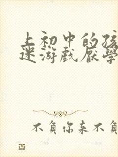 上初中的孩子沉迷游戏厌学怎么办