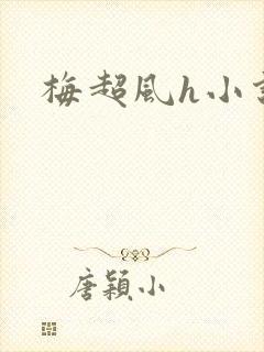 梅超风h小说
