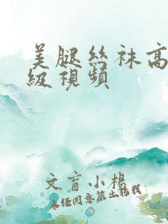 美腿丝袜高跟三级视频